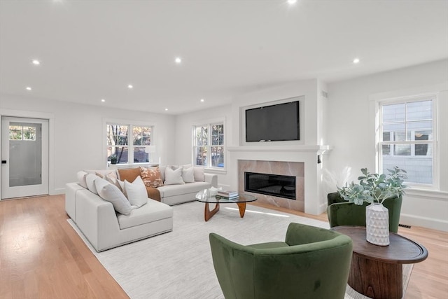 living room with light hardwood / wood-style flooring