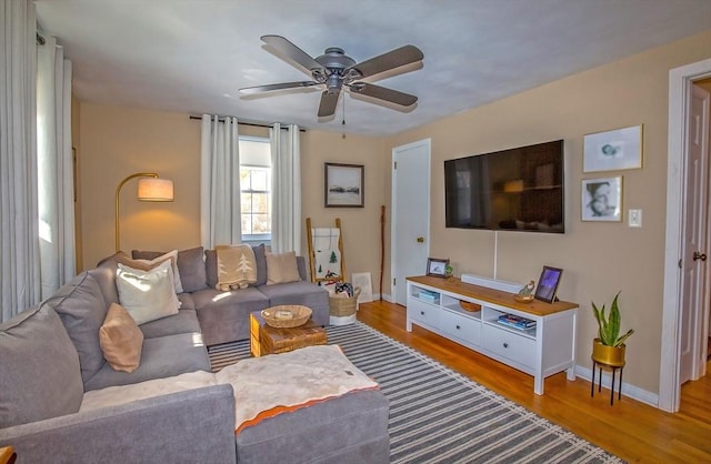 living room with ceiling fan and light wood-type flooring