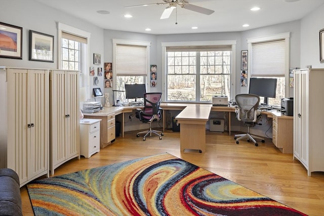 office area with ceiling fan, a wealth of natural light, and light hardwood / wood-style floors