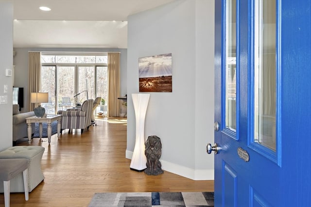 entrance foyer featuring wood-type flooring