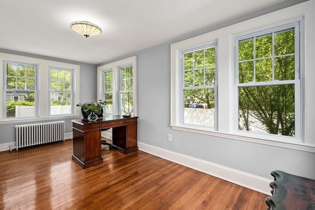 43 Chilton St, Belmont, MA 02478 - office area with radiator heating unit, baseboards, and dark wood-type flooring