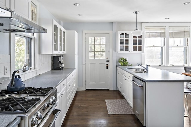 9 Prospect St, Winchester, MA 01890 - kitchen with stainless steel appliances, under cabinet range hood, a sink, dark wood-type flooring, and glass insert cabinets