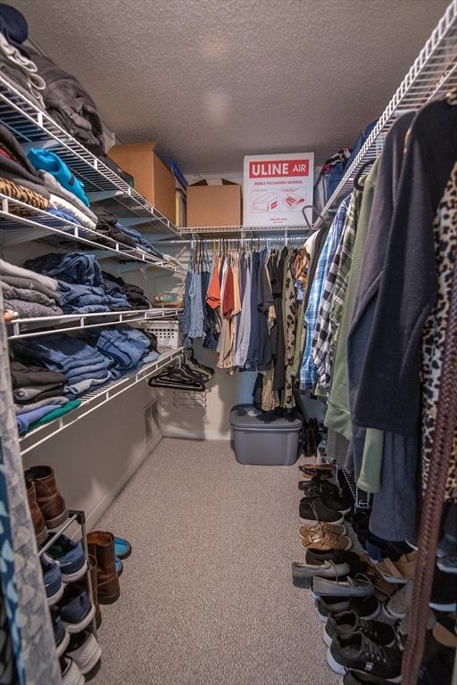 1610 Franklin Crossing Rd Unit 1610, Franklin, MA 02038 - spacious closet featuring carpet