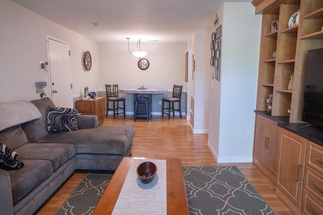 1610 Franklin Crossing Rd Unit 1610, Franklin, MA 02038 - living area with light wood finished floors and baseboards