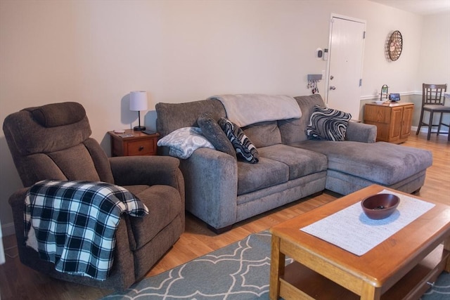 1610 Franklin Crossing Rd Unit 1610, Franklin, MA 02038 - living room featuring light wood-style flooring