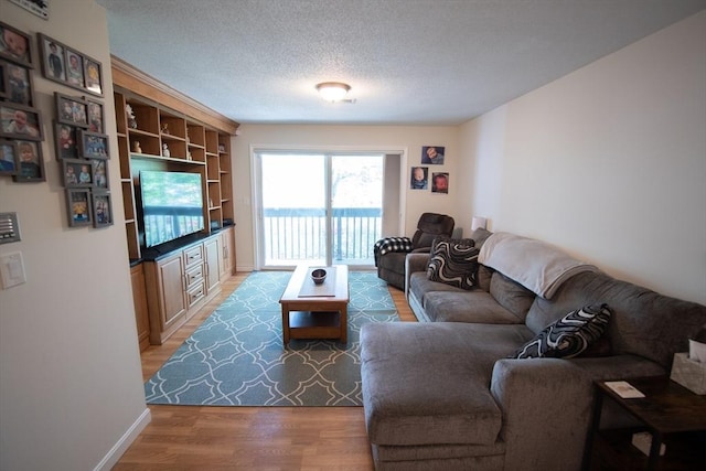 1610 Franklin Crossing Rd Unit 1610, Franklin, MA 02038 - living room featuring light wood-style flooring, baseboards, and a textured ceiling
