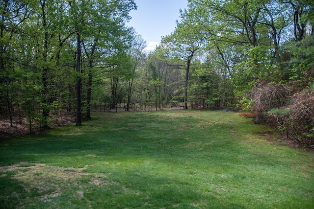 1610 Franklin Crossing Rd Unit 1610, Franklin, MA 02038 - view of green lawn with a forest view