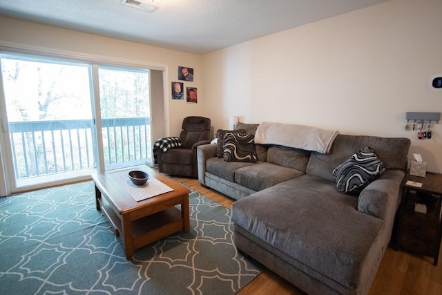 1610 Franklin Crossing Rd Unit 1610, Franklin, MA 02038 - living room featuring wood finished floors