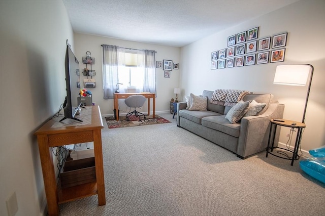 1610 Franklin Crossing Rd Unit 1610, Franklin, MA 02038 - carpeted living room featuring baseboards