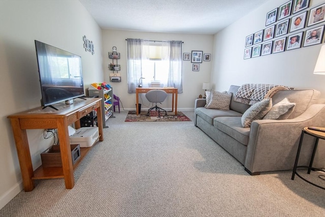 1610 Franklin Crossing Rd Unit 1610, Franklin, MA 02038 - living area with carpet floors and baseboards