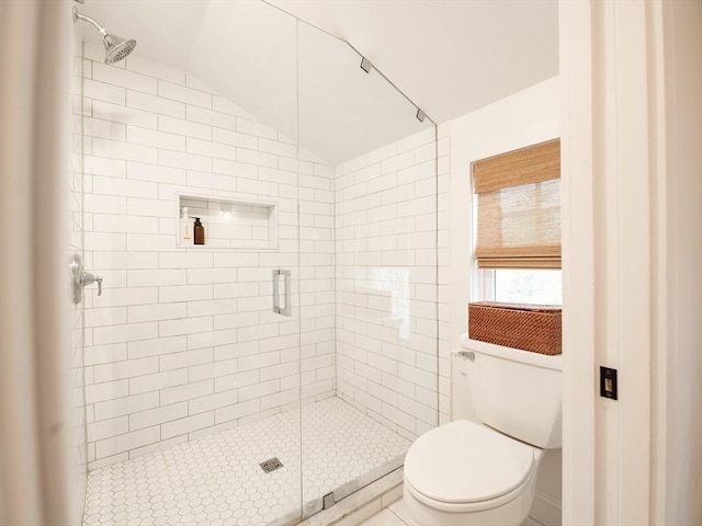 full bathroom with a stall shower, toilet, and lofted ceiling