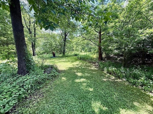 23 Partridge Hill Rd, Dudley, MA 01571 - view of green lawn with a forest view