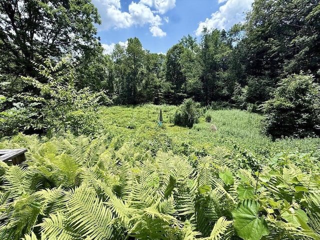 23 Partridge Hill Rd, Dudley, MA 01571 - view of local wilderness