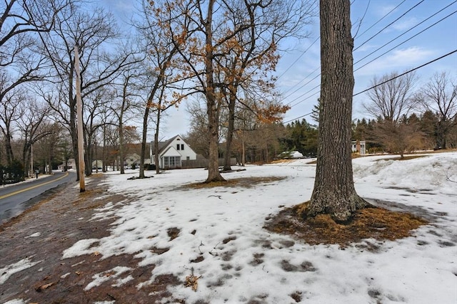 view of snowy yard