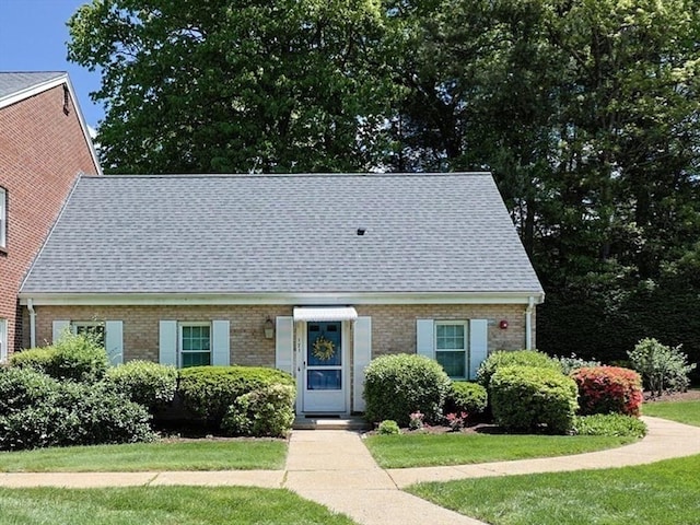 171 Erin Rd Unit 171, Stoughton, MA 02072 - new england style home with roof with shingles, a front lawn, and brick siding