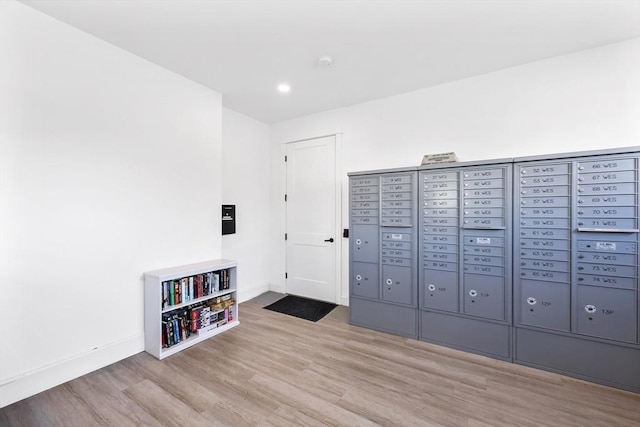 13 Birkdale Ln Unit 13, Hopkinton, MA 01748 - view of property's community featuring mail area and recessed lighting