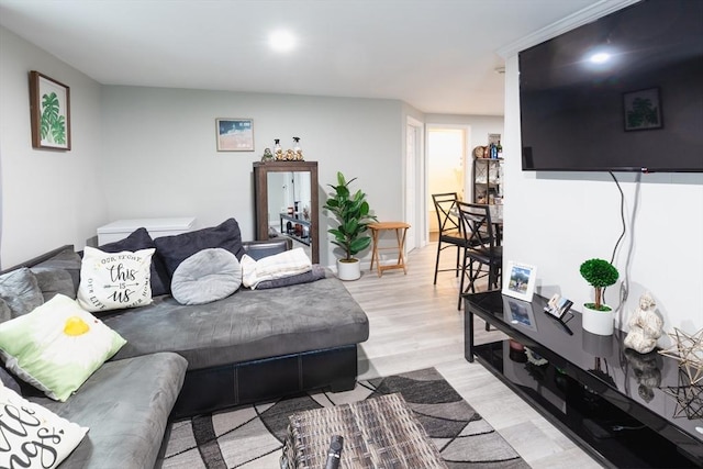 living room featuring light hardwood / wood-style floors