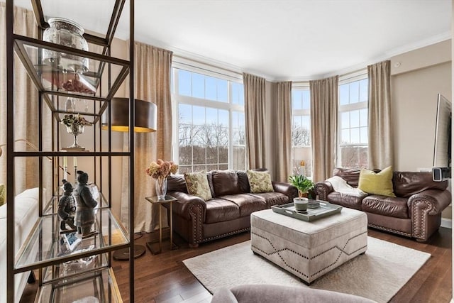 living area featuring ornamental molding and dark wood-style flooring