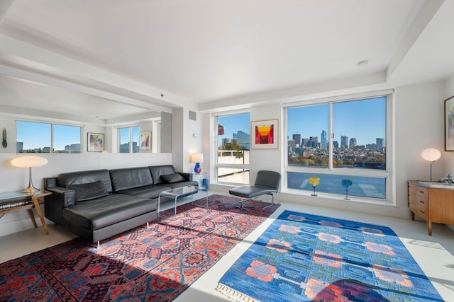 living room with plenty of natural light