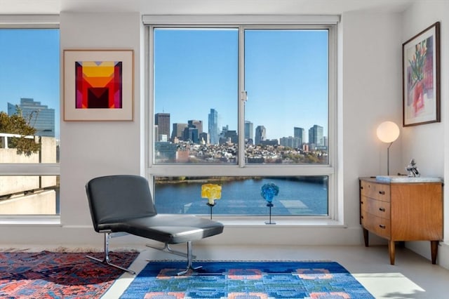 75-83 Cambridge Pkwy Unit W1009, Cambridge, MA 02142 - sitting room with a skyline view
