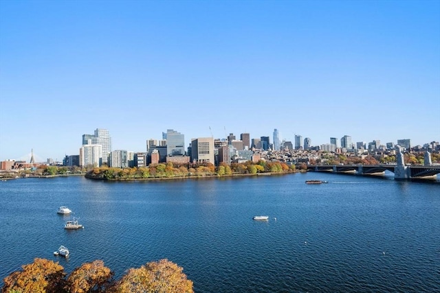 75-83 Cambridge Pkwy Unit W1009, Cambridge, MA 02142 - water view with a view of skyline