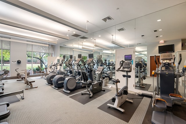 workout area featuring carpet floors