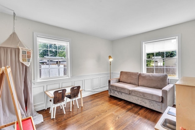 living room with hardwood / wood-style floors and a wealth of natural light