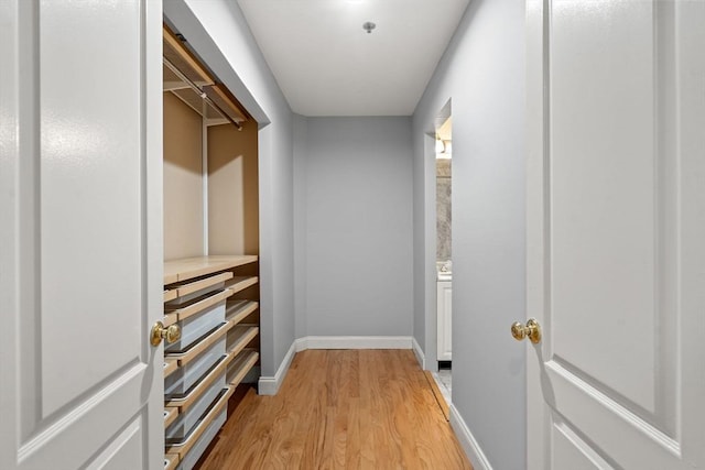 spacious closet featuring light wood-type flooring