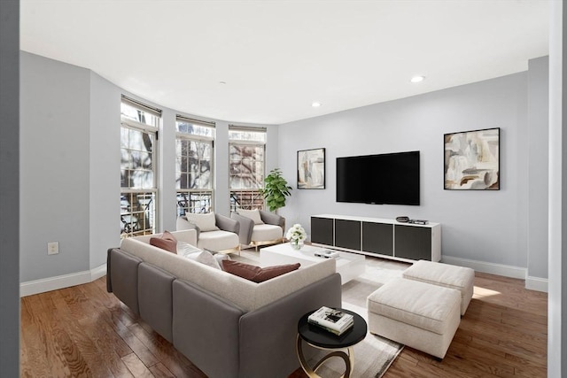 living room featuring wood-type flooring