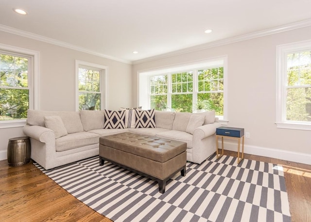 living room featuring baseboards, wood finished floors, crown molding, and recessed lighting