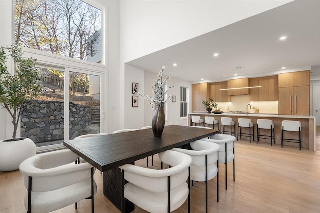 44 Robeson St Unit 44B, Boston, MA 02130 - dining space featuring light wood finished floors, recessed lighting, and a high ceiling