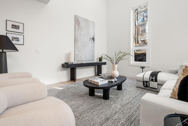 44 Robeson St Unit 44B, Boston, MA 02130 - living room featuring wood finished floors and baseboards