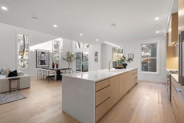 44 Robeson St Unit 44B, Boston, MA 02130 - kitchen featuring modern cabinets, light brown cabinetry, a sink, light wood-style floors, and light countertops