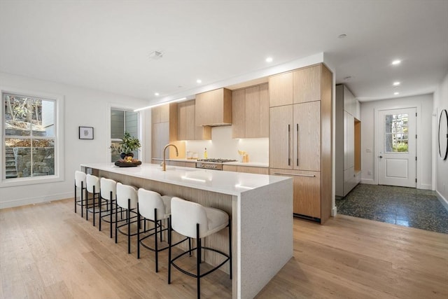 44 Robeson St Unit 44B, Boston, MA 02130 - kitchen with a large island with sink, baseboards, light wood finished floors, a kitchen bar, and recessed lighting