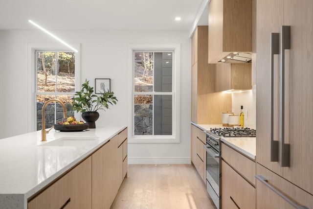 44 Robeson St Unit 44B, Boston, MA 02130 - kitchen featuring stainless steel range, a sink, light brown cabinetry, light wood-style floors, and light stone counters