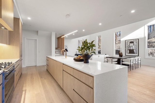 44 Robeson St Unit 44B, Boston, MA 02130 - kitchen with stainless steel gas range, modern cabinets, light brown cabinets, light wood-type flooring, and recessed lighting