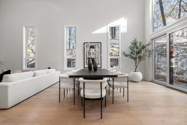 44 Robeson St Unit 44B, Boston, MA 02130 - dining room with light wood-style flooring