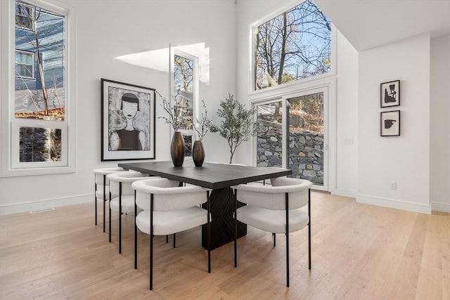44 Robeson St Unit 44B, Boston, MA 02130 - dining room with light wood-style floors, baseboards, and a high ceiling