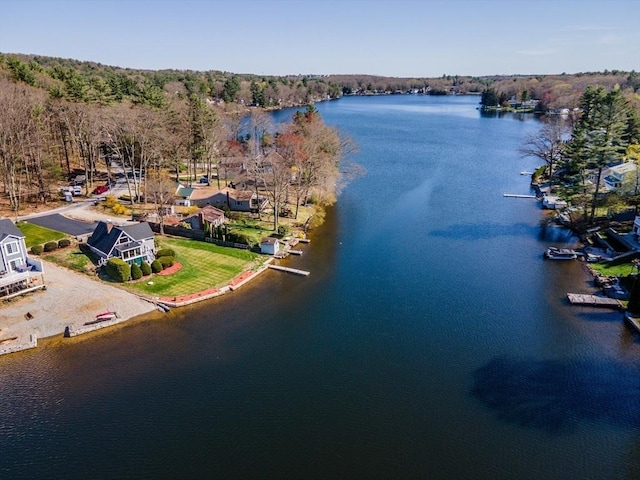 drone / aerial view featuring a water view and a view of trees