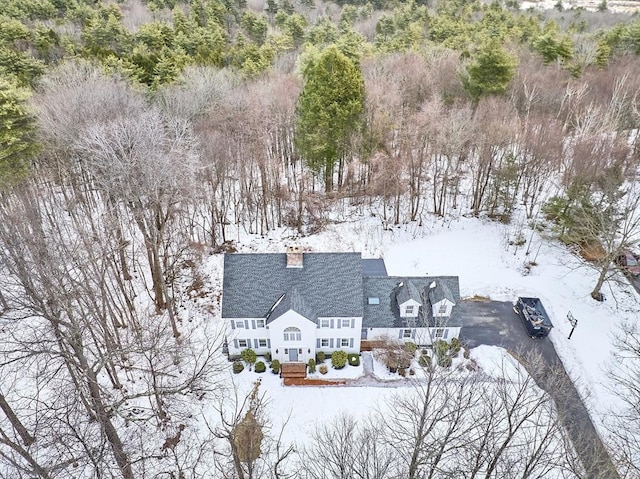 view of snowy aerial view