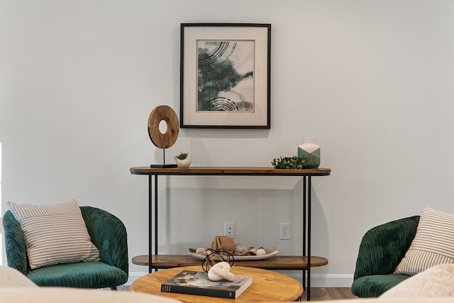 sitting room featuring wood-type flooring