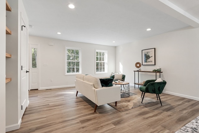 living room with light wood-type flooring