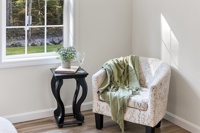 sitting room featuring wood-type flooring