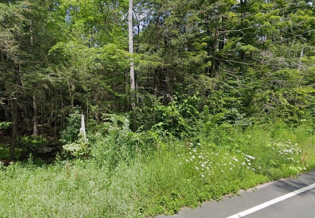 LOT51 Skyline Trl, Middlefield, MA 01243