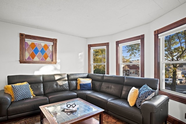 living room featuring a wealth of natural light