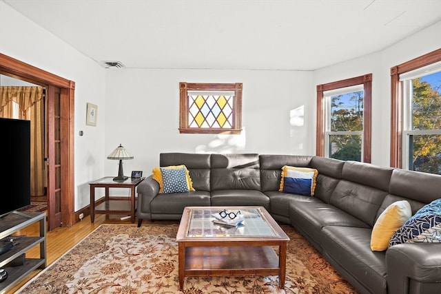 living room with wood-type flooring