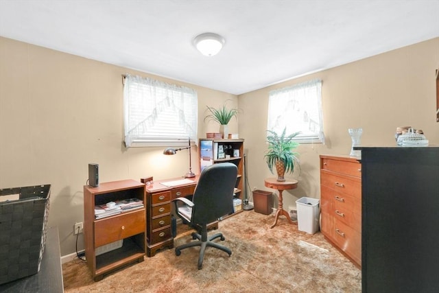 76 Regal St, Springfield, MA 01118 - home office featuring carpet