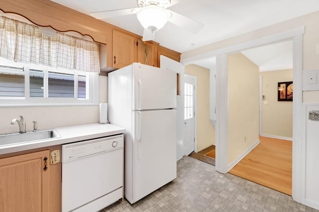 76 Regal St, Springfield, MA 01118 - kitchen featuring white appliances, a sink, light countertops, ceiling fan, and light brown cabinetry