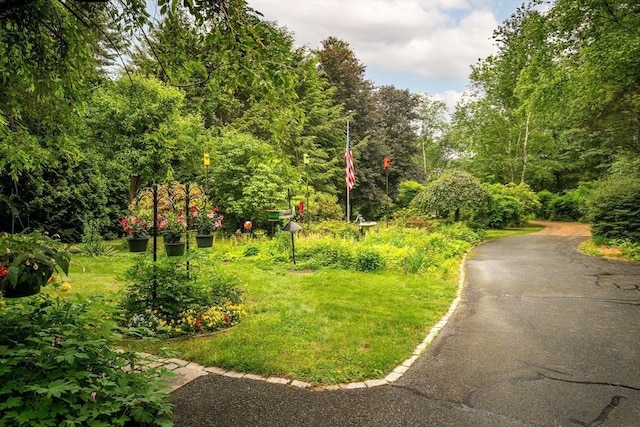 7 Hawthorne Dr, Southampton, MA 01073 - view of home's community with a lawn