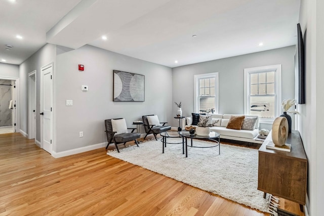 living room featuring light hardwood / wood-style flooring